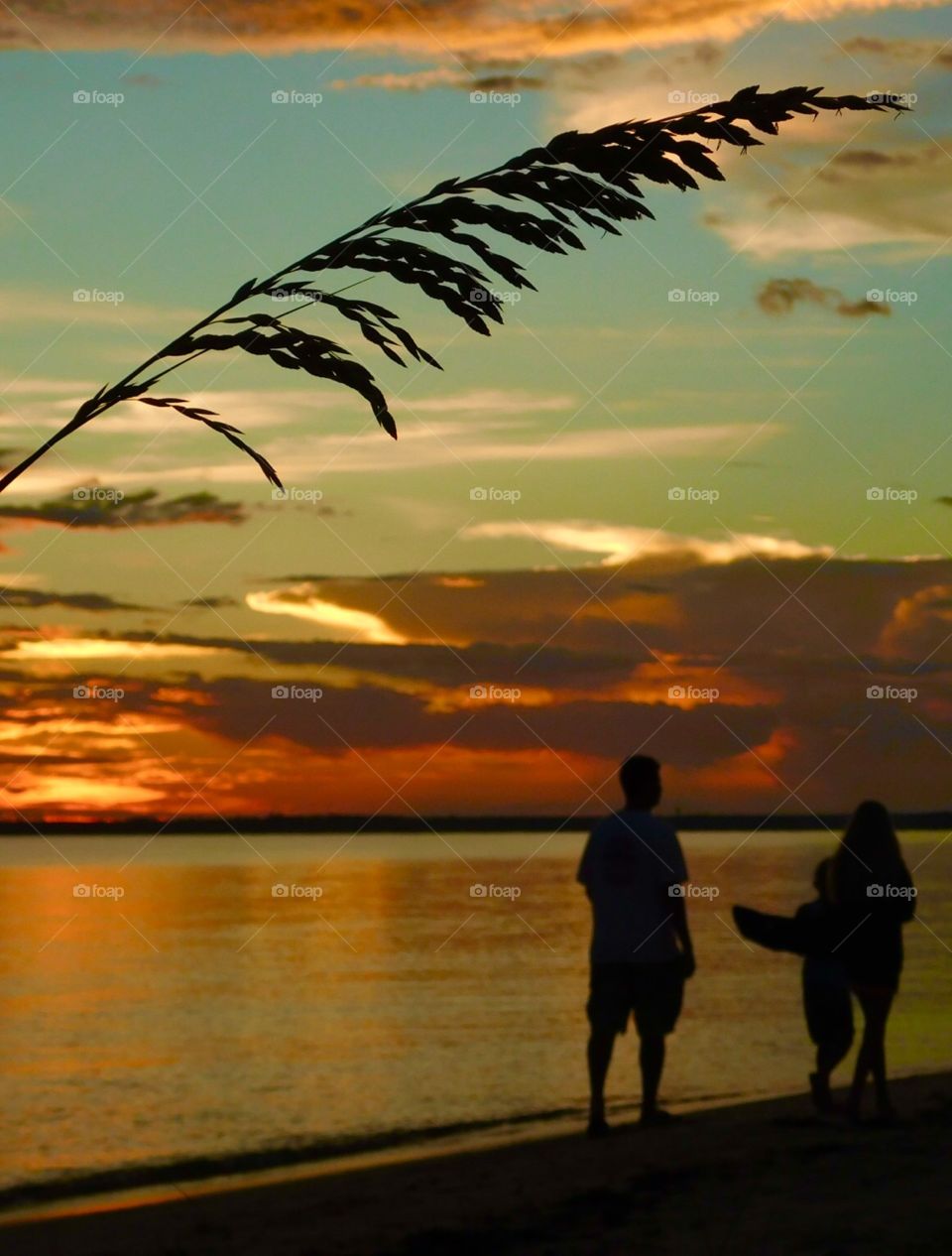 When the sun sets it creates blazing colors of pink, orange,burning reds purples, and golden yellows. One can only describe the sunset as incredibly beautiful.
