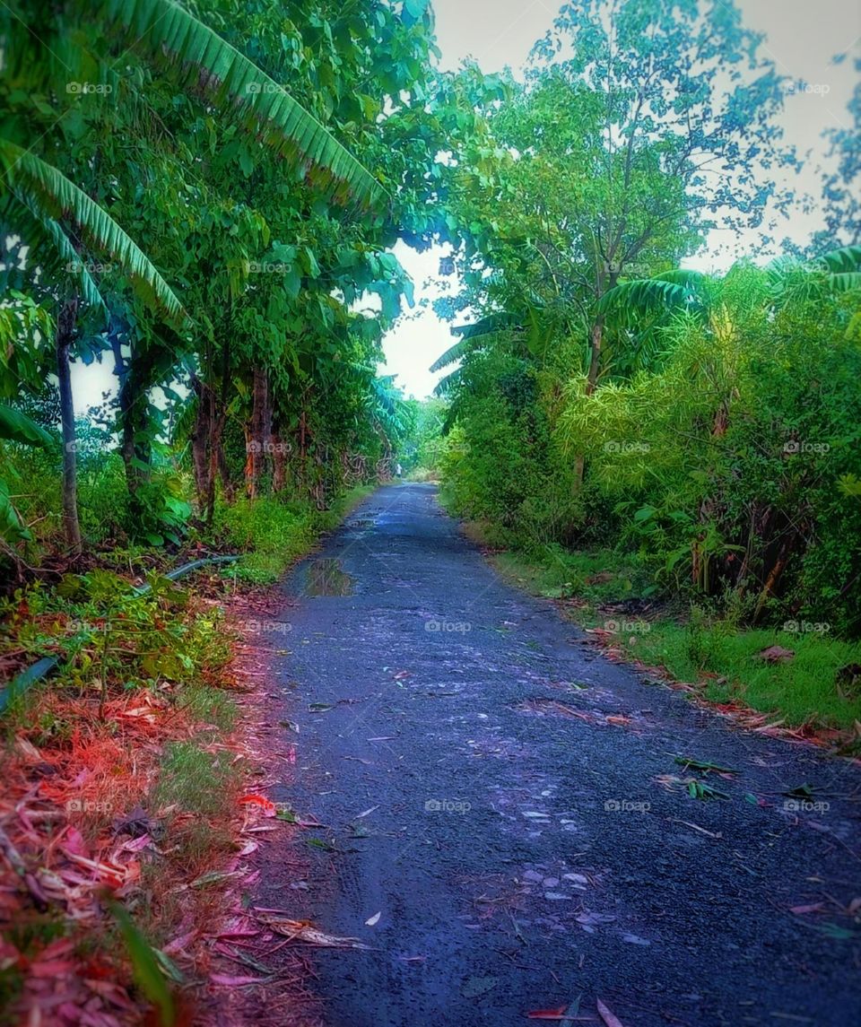 nature green village rod