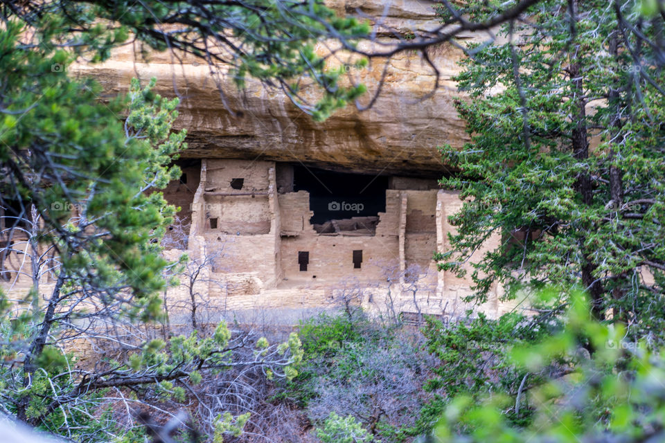 Mesa Verde 2