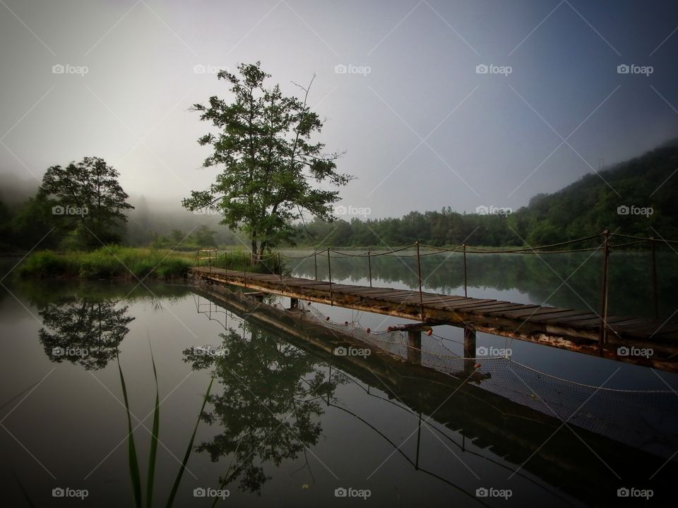 Bridge on a lake
