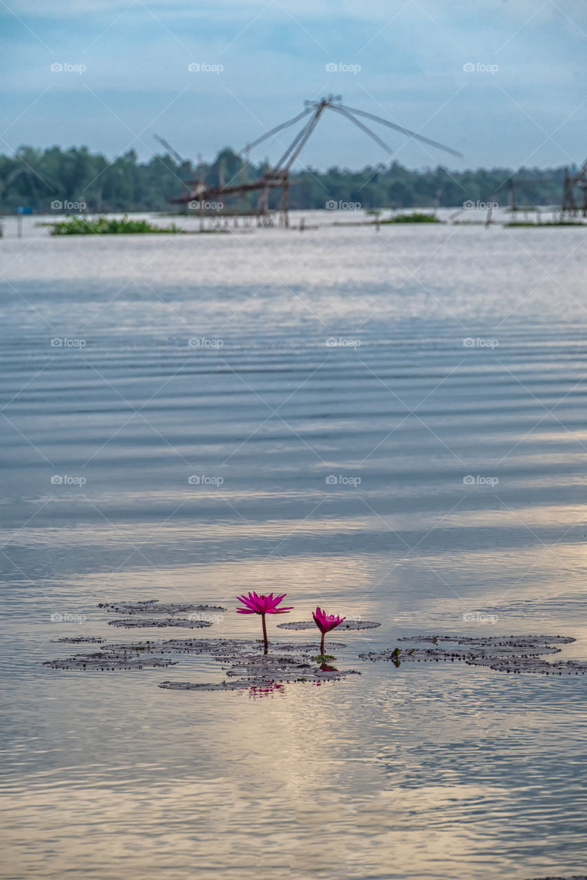 Freedom in the nature