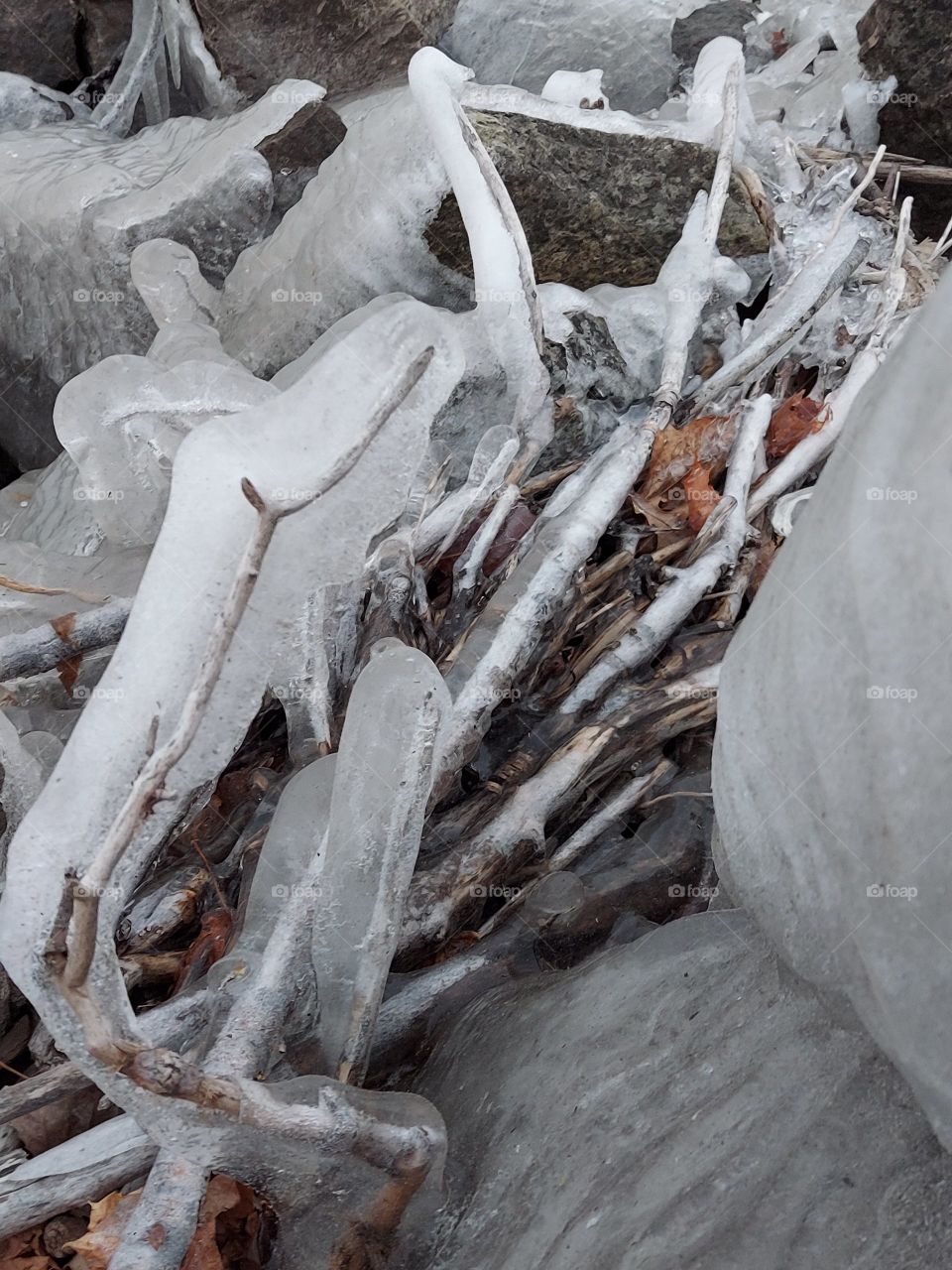 Shore of Lake Winnebago