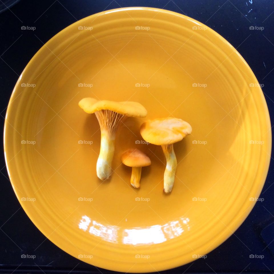 Color Marigold. Chanterelles on Fiestaware