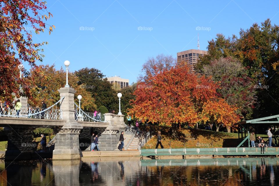 John B. Boston Commons Fall..