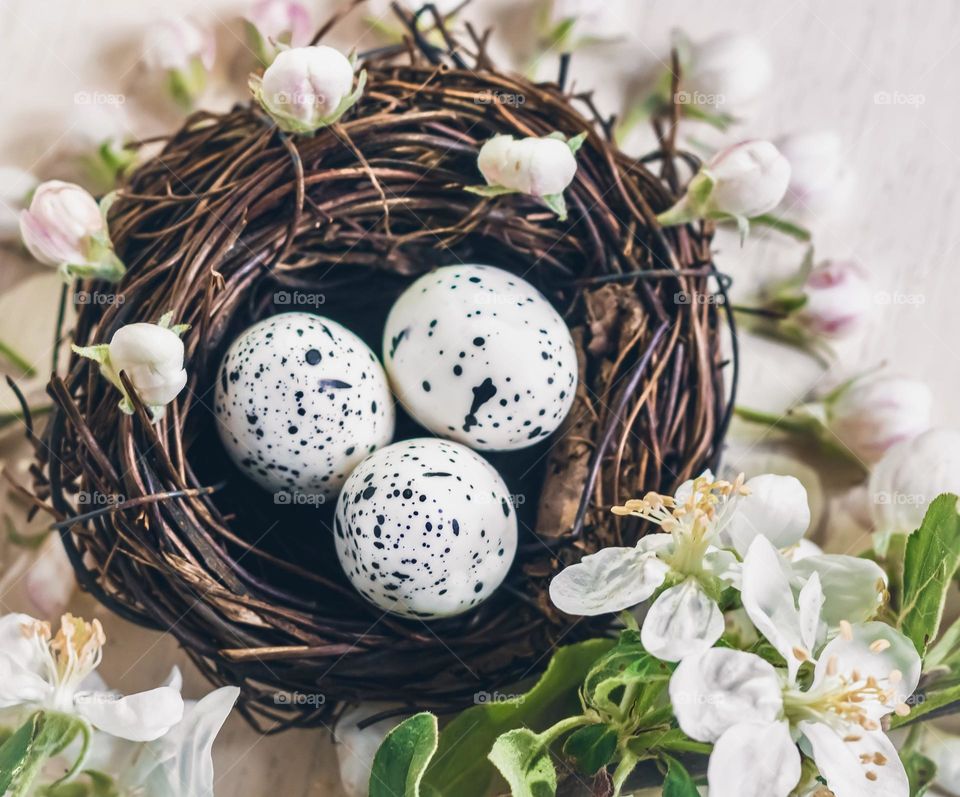 Easter themed flat lay, with birds nest, eggs and spring blossoms 