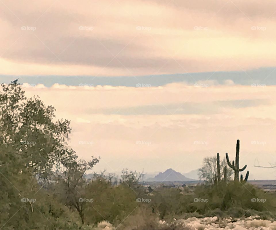 Pink & Blue Desert Sky