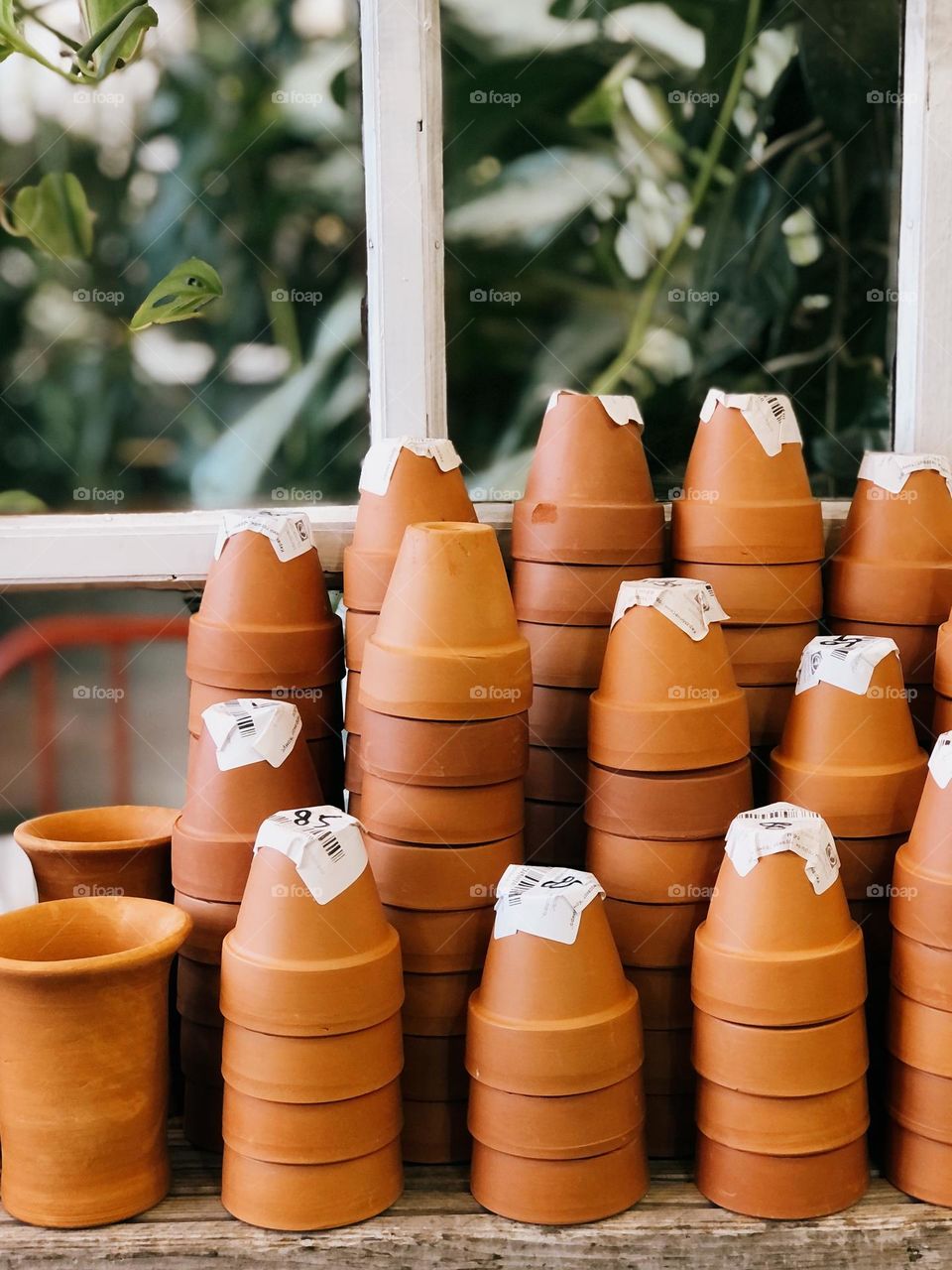 Many terracotta clay pots in botanical garden, no people 