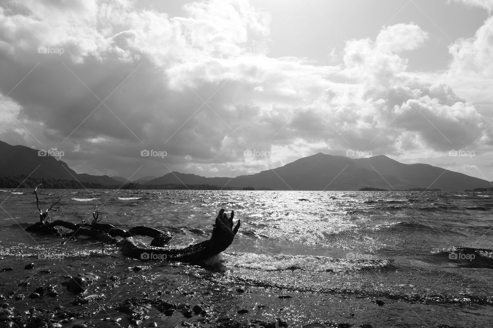 sea ​​landscape surrounded by mountain and trunk in water