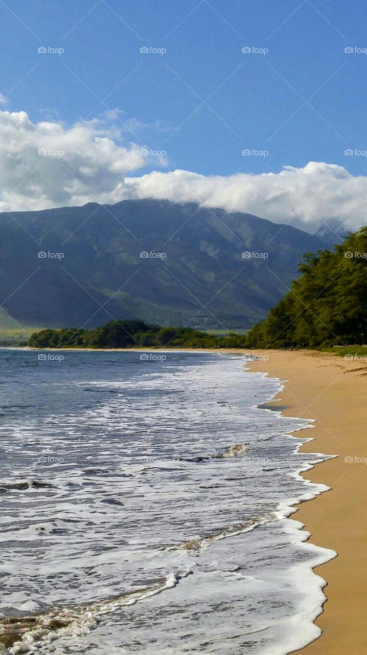 a morning walk by the ocean enjoying nature