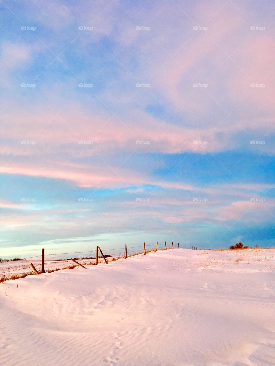 Prairie fence line 