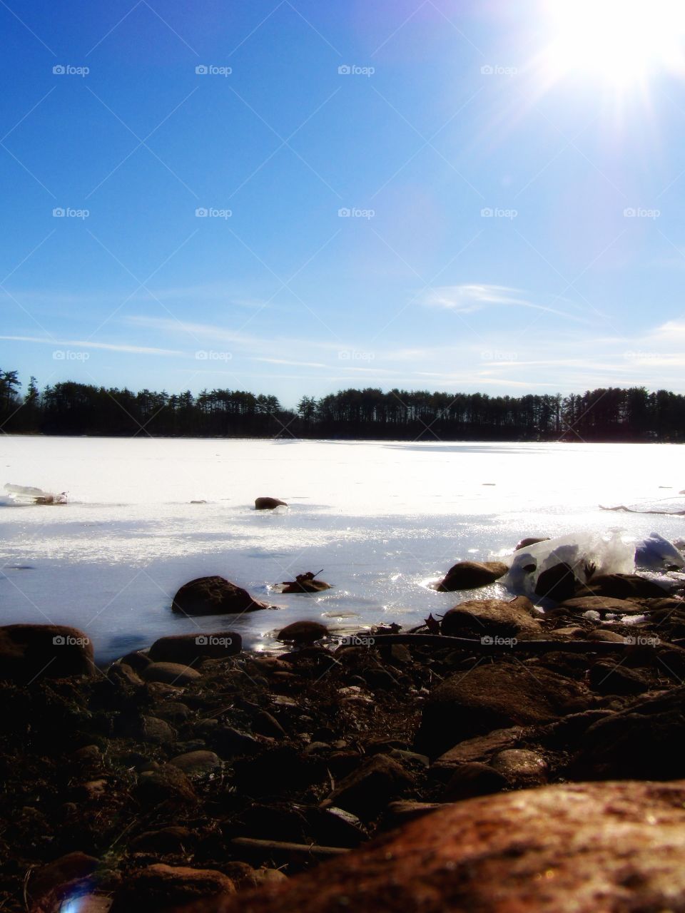 Frozen pond. A sunny day with blue skies. Winter time
