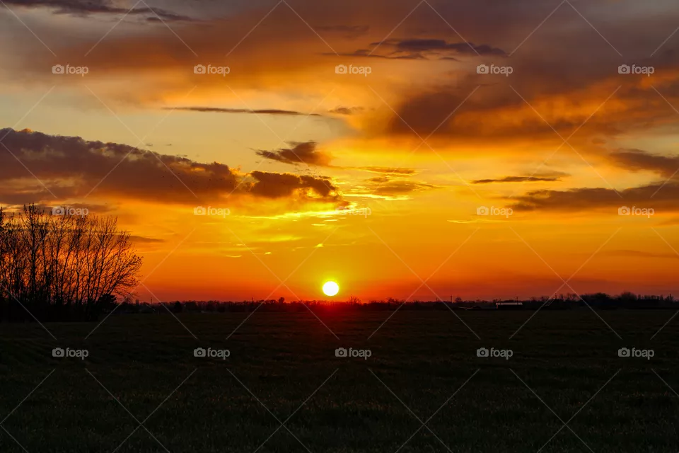 Nature