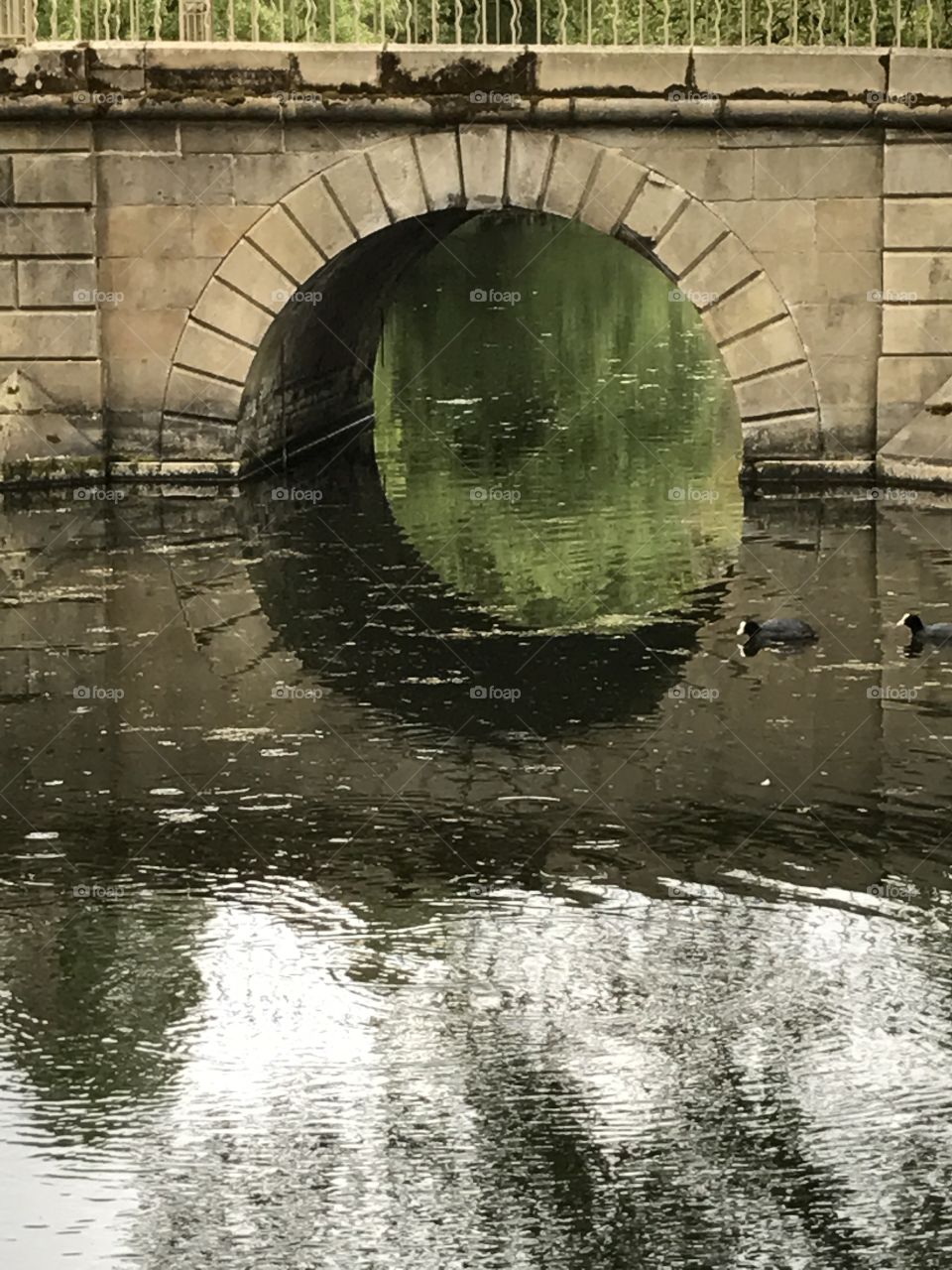 Bridge reflections water
