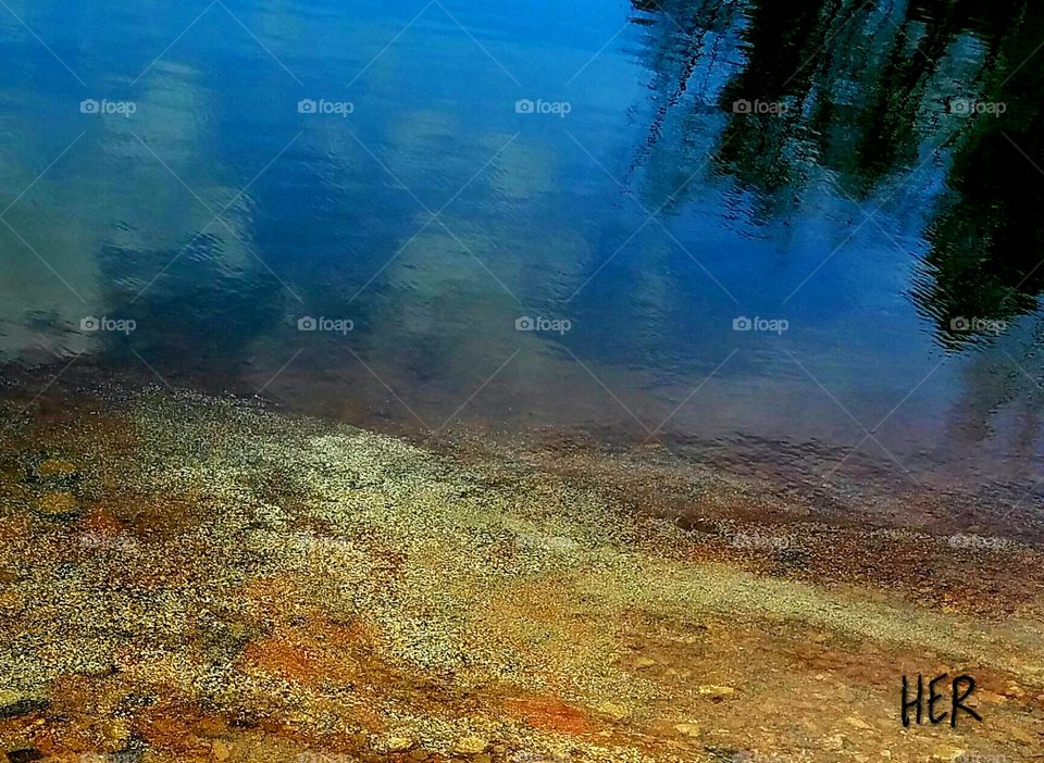 pollen on the lake