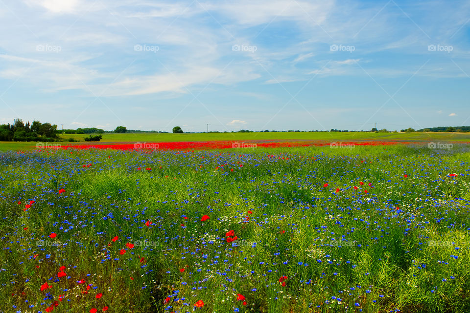 Farbenfrohe Landschaft