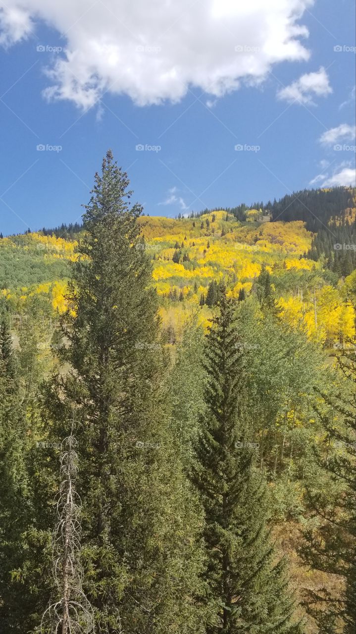 start of Fall in Colorado