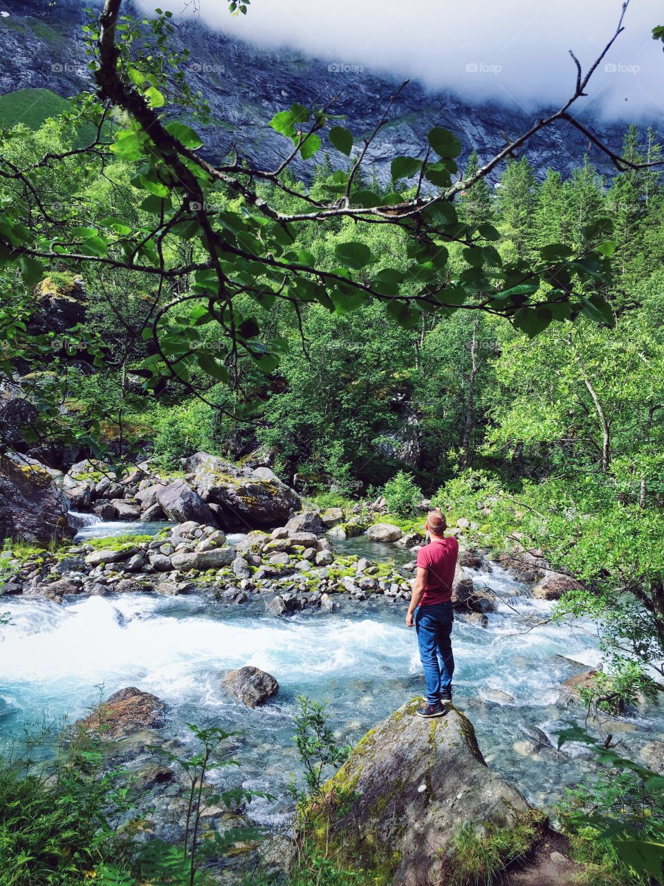 Water, Landscape, Outdoors, Nature, Wood