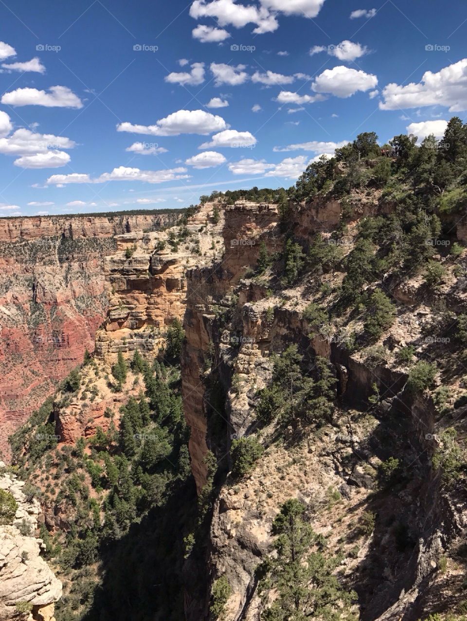 The stunning Grand Canyon. 