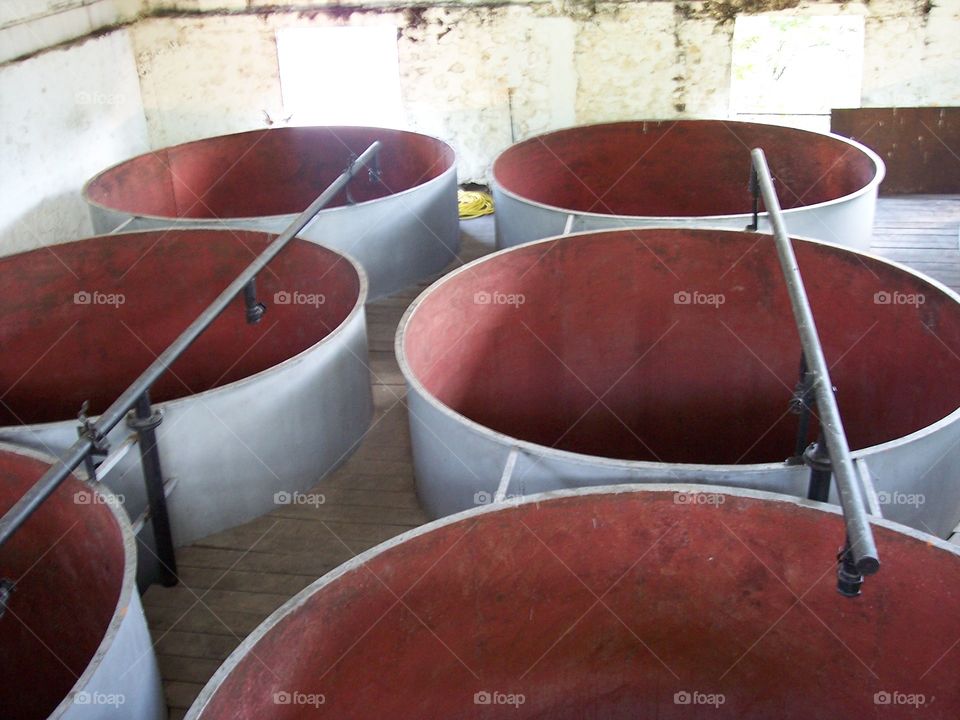 Fermentation vat to make rum