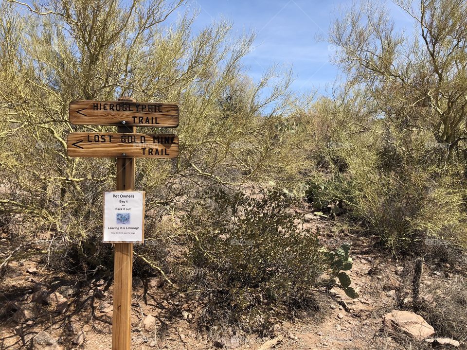 Sign on a trail at Lost Dutchman