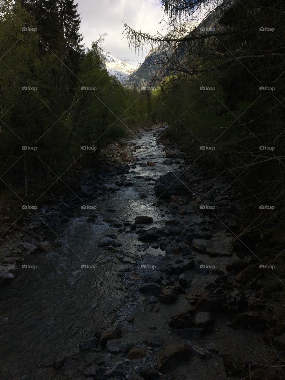 Reflections in the Alps