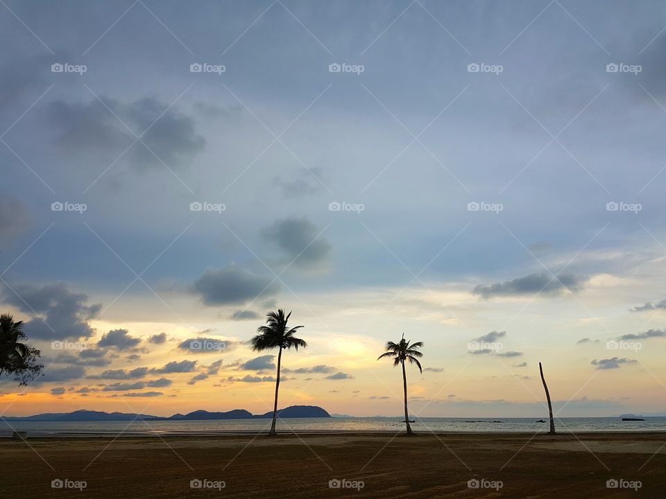 View of palm trees at beach