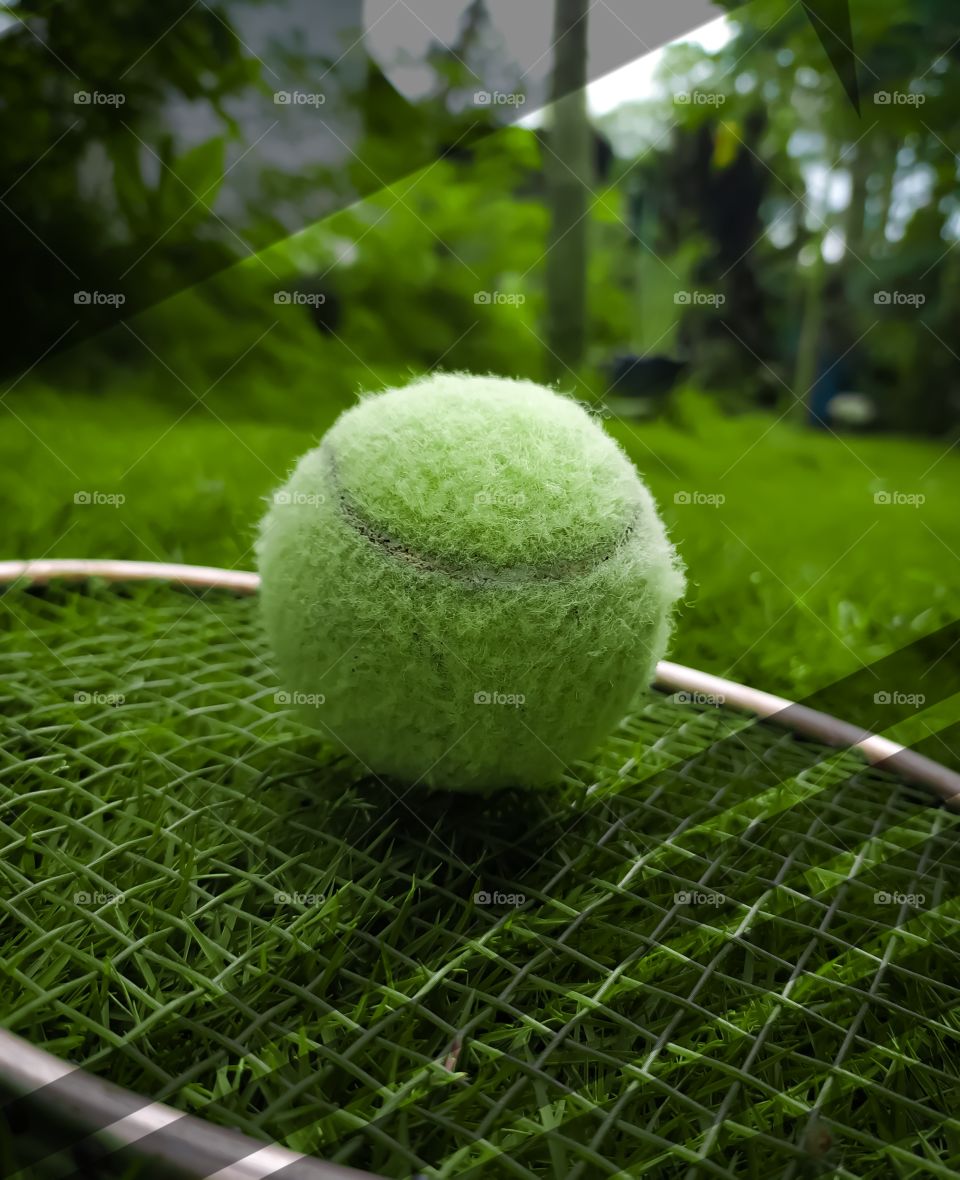 tennis ball on the beautiful green grass