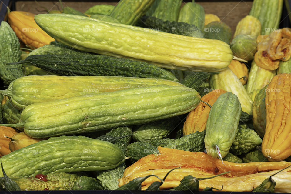 Bitter gourd with yellow seed storage for cultivation.