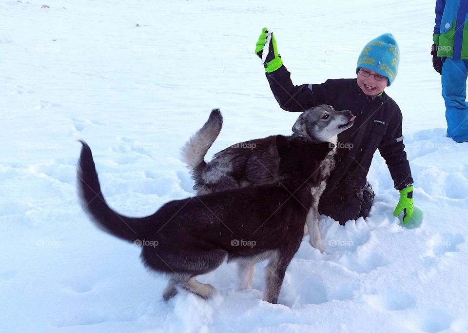 Child playing with two dogs in snow
