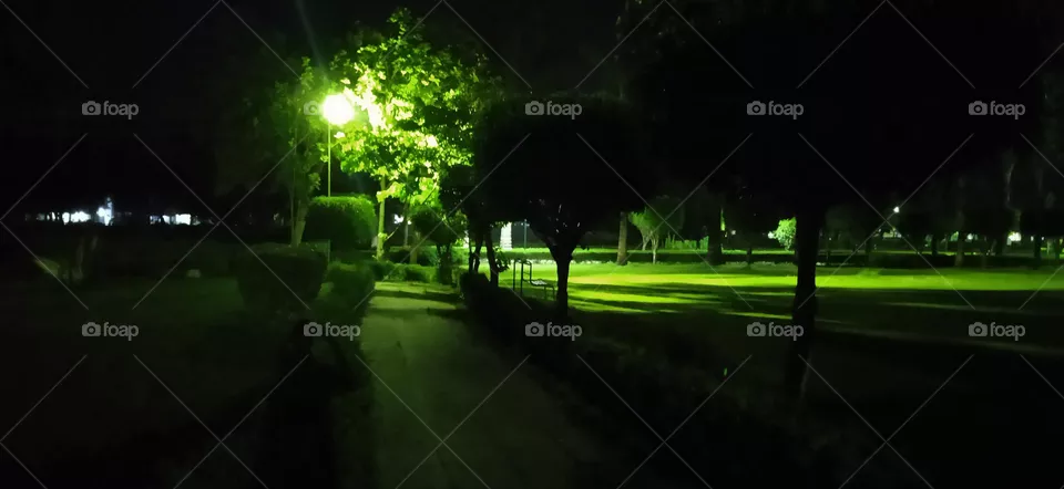 Ever green  plants in night feel relax to eyes, looking  so beautiful plants  shadow with green colour  ,looks like a Greenland. shoot at night ,thu,13 apr, 2023, 7:30 pm, lucknow uttar pradesh india.