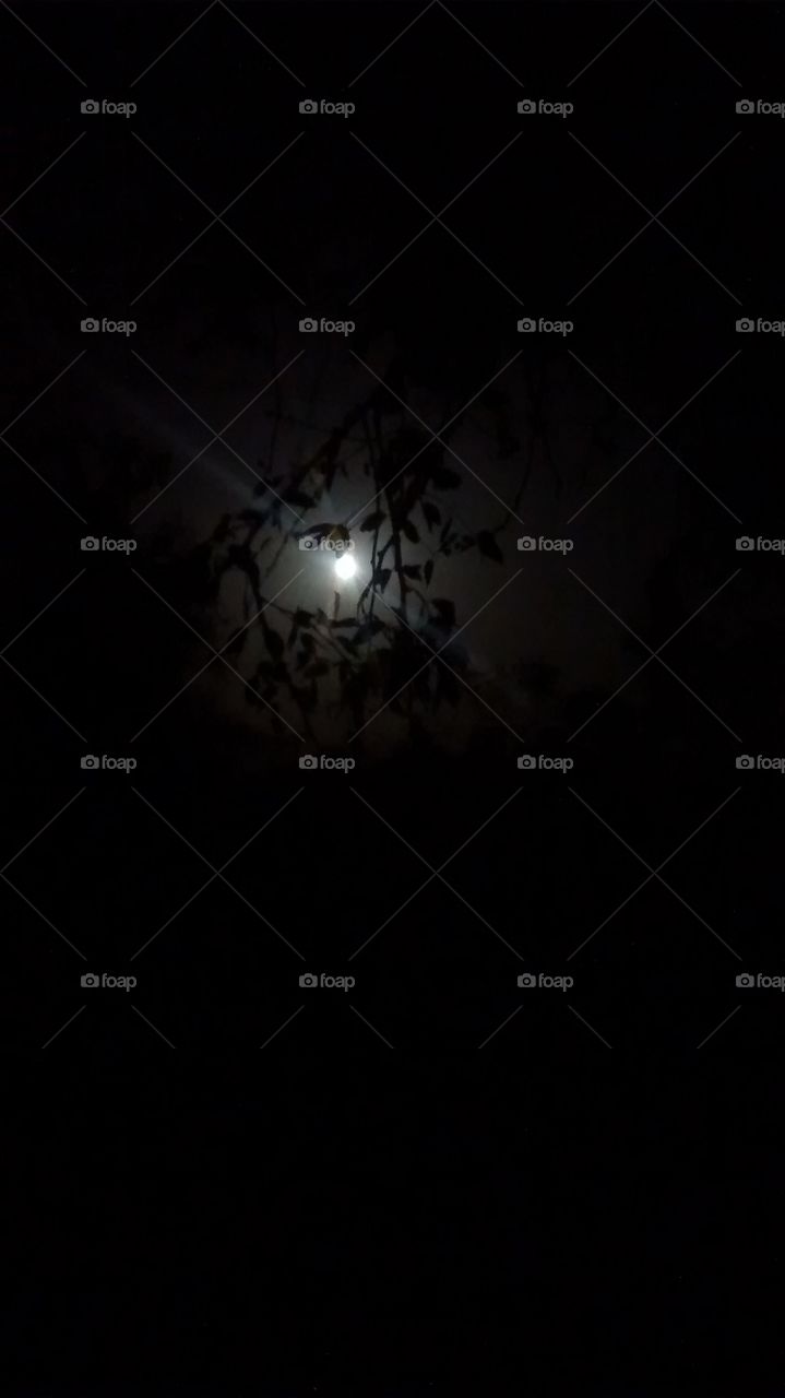 night time moon click camera