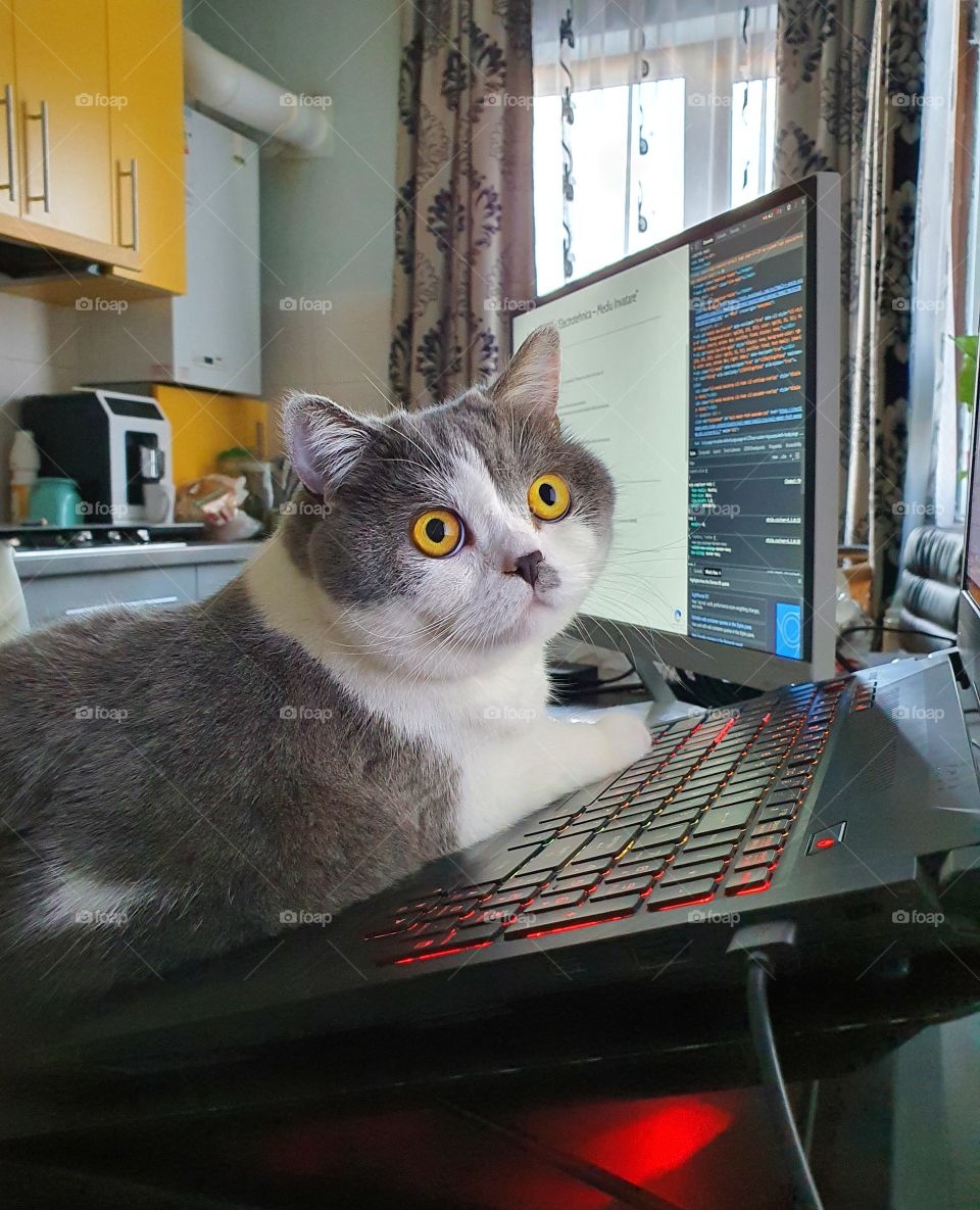 At work...programming