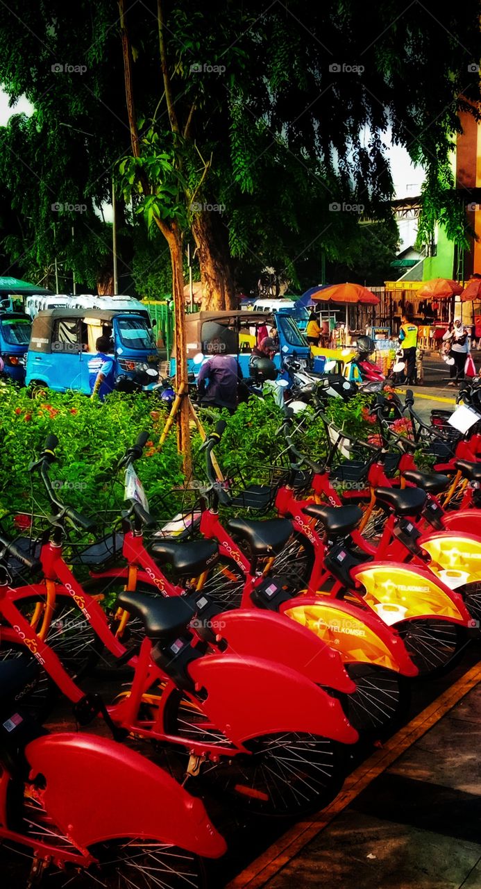 Red & Blue (Mbayar & Mbayar)