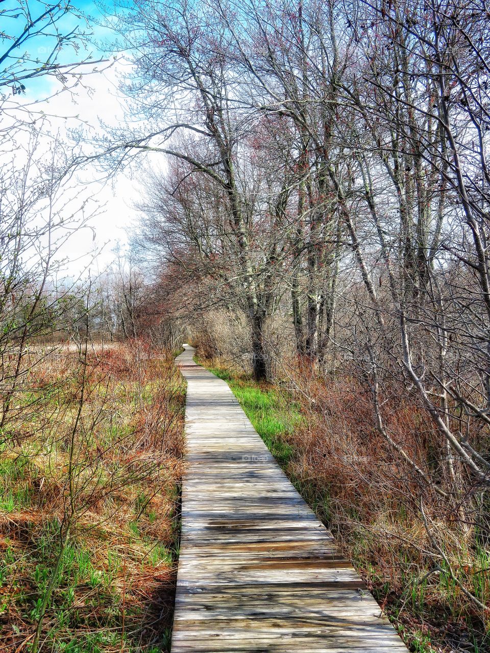 Crescent beach state park path to the beach Cape Elizabeth Maine 