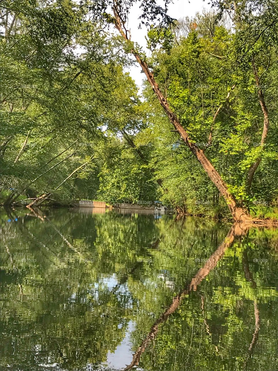 Peace, beauty and calm on a kayak trip