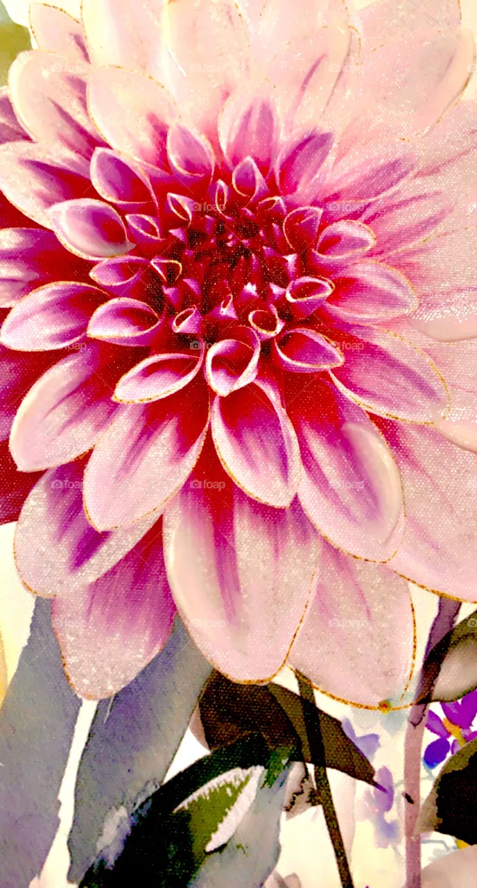 Flower 🌸