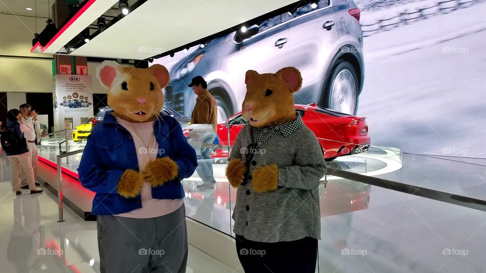 Kia Hamsters