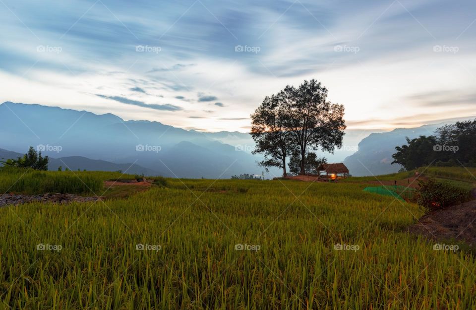 Sunset in Choan The village with dramatic sky and rice terraces,  twin trees