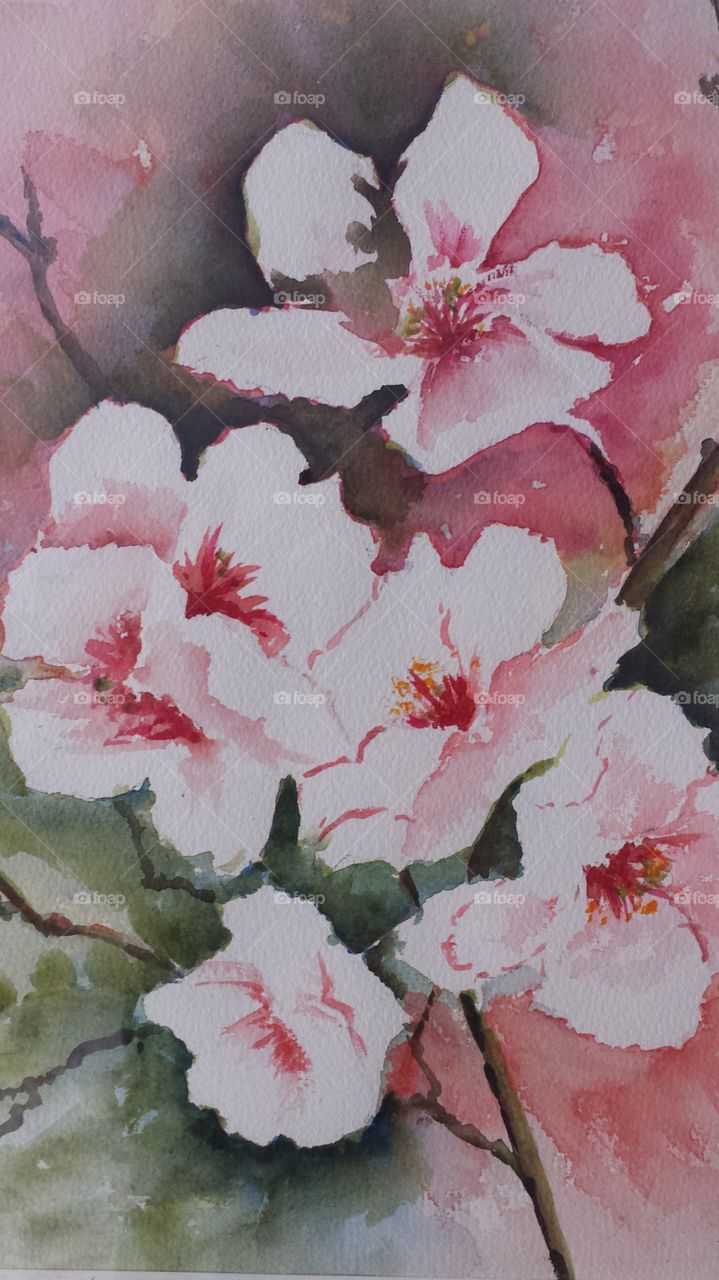 Almond Blossem. Watercolour made by my wife Rita Tielemans