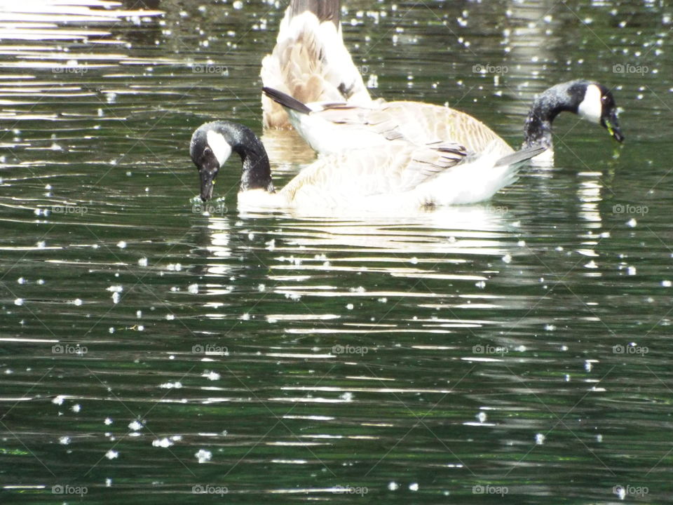 Leavenworth Washington