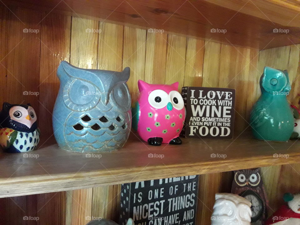 owl themed hotel