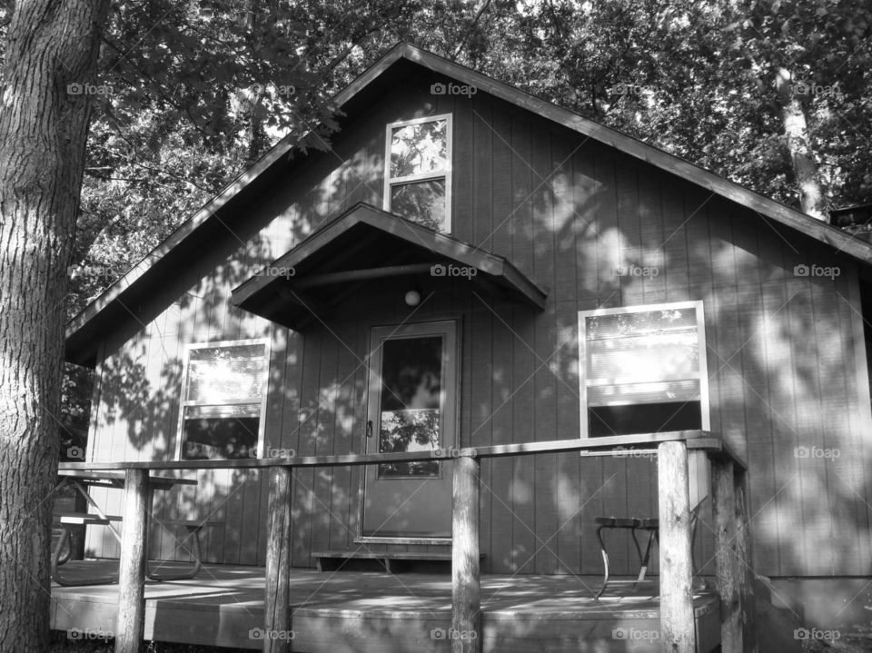 cabin in the woods/Black and white