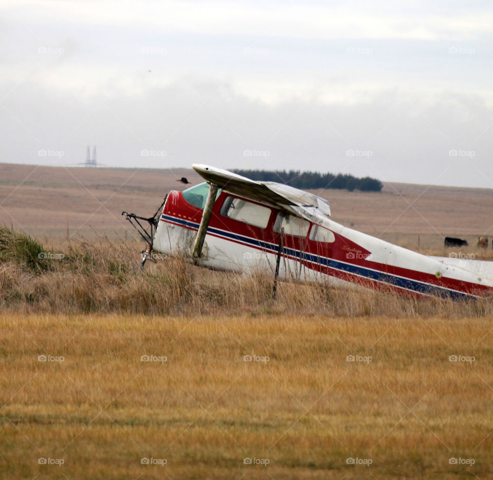 golbourn field vintage plane by cataana