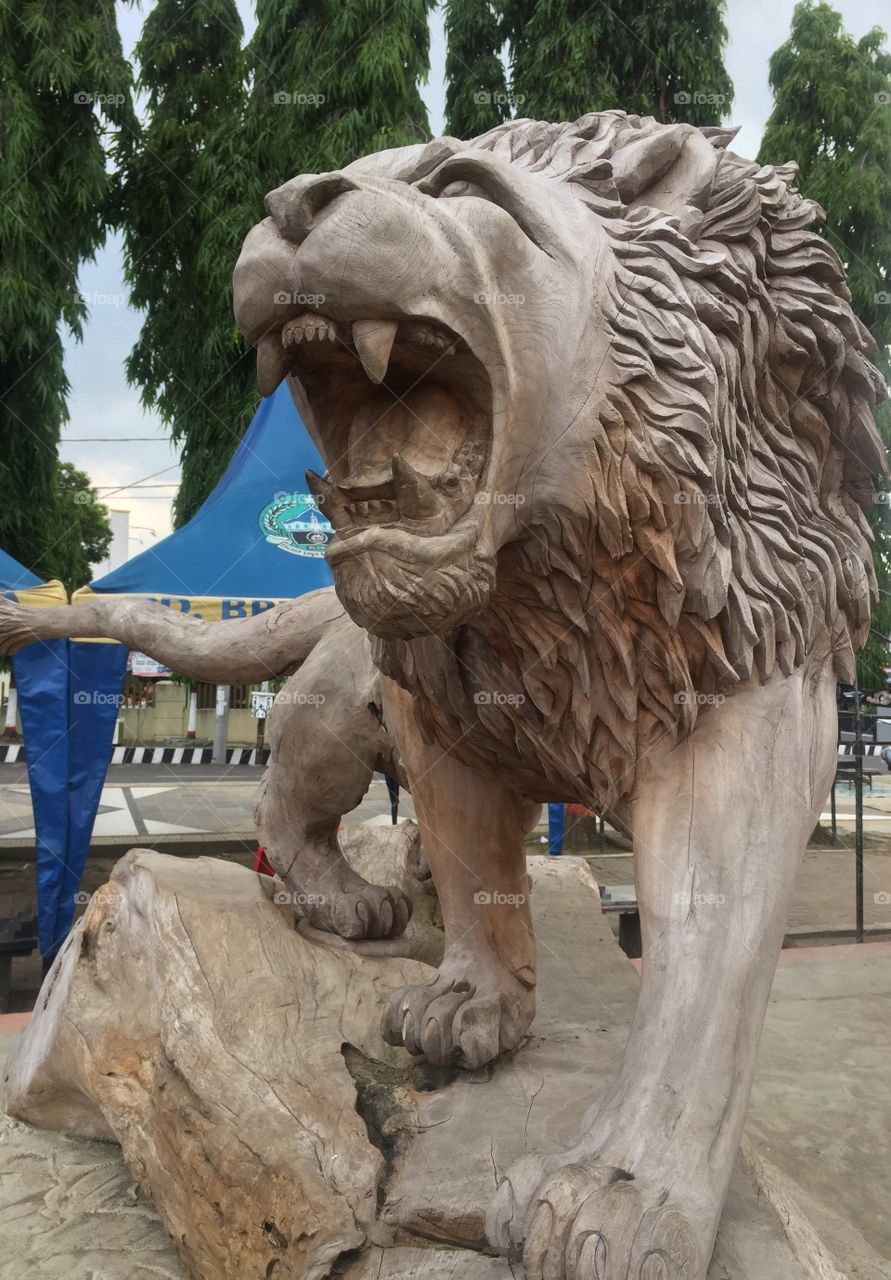 lion from wood carvings