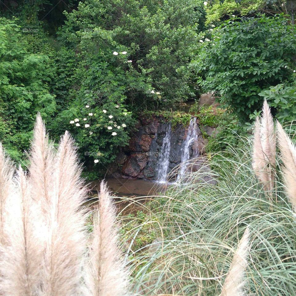 a little water fall