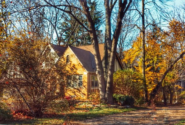 Autumn Scenery
