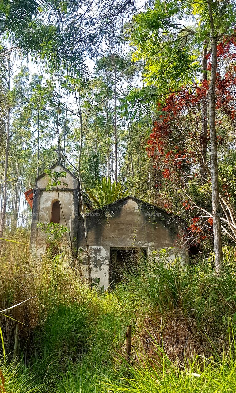 abandoned church in the woods