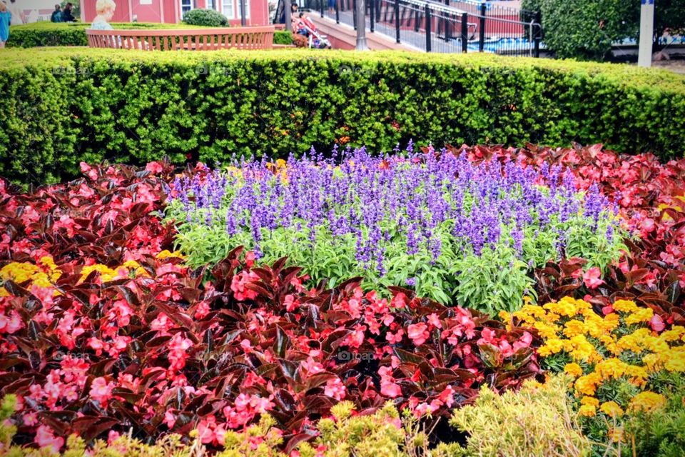 Taking time out to enjoy the flowers can brighten anyone’s day, especially when you are relaxing and just taking in the day. 