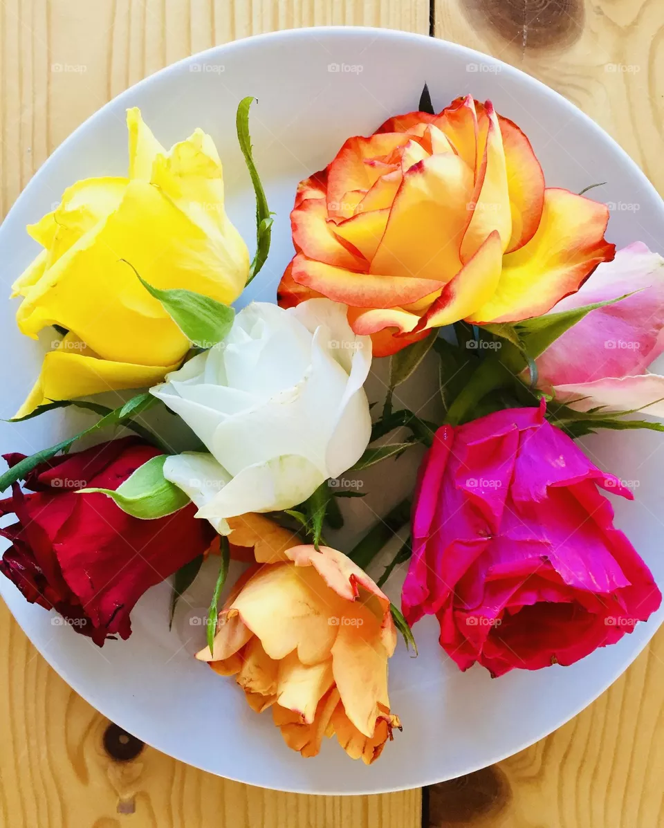 Roses