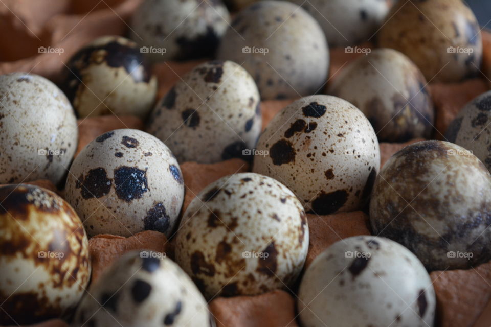 quail eggs